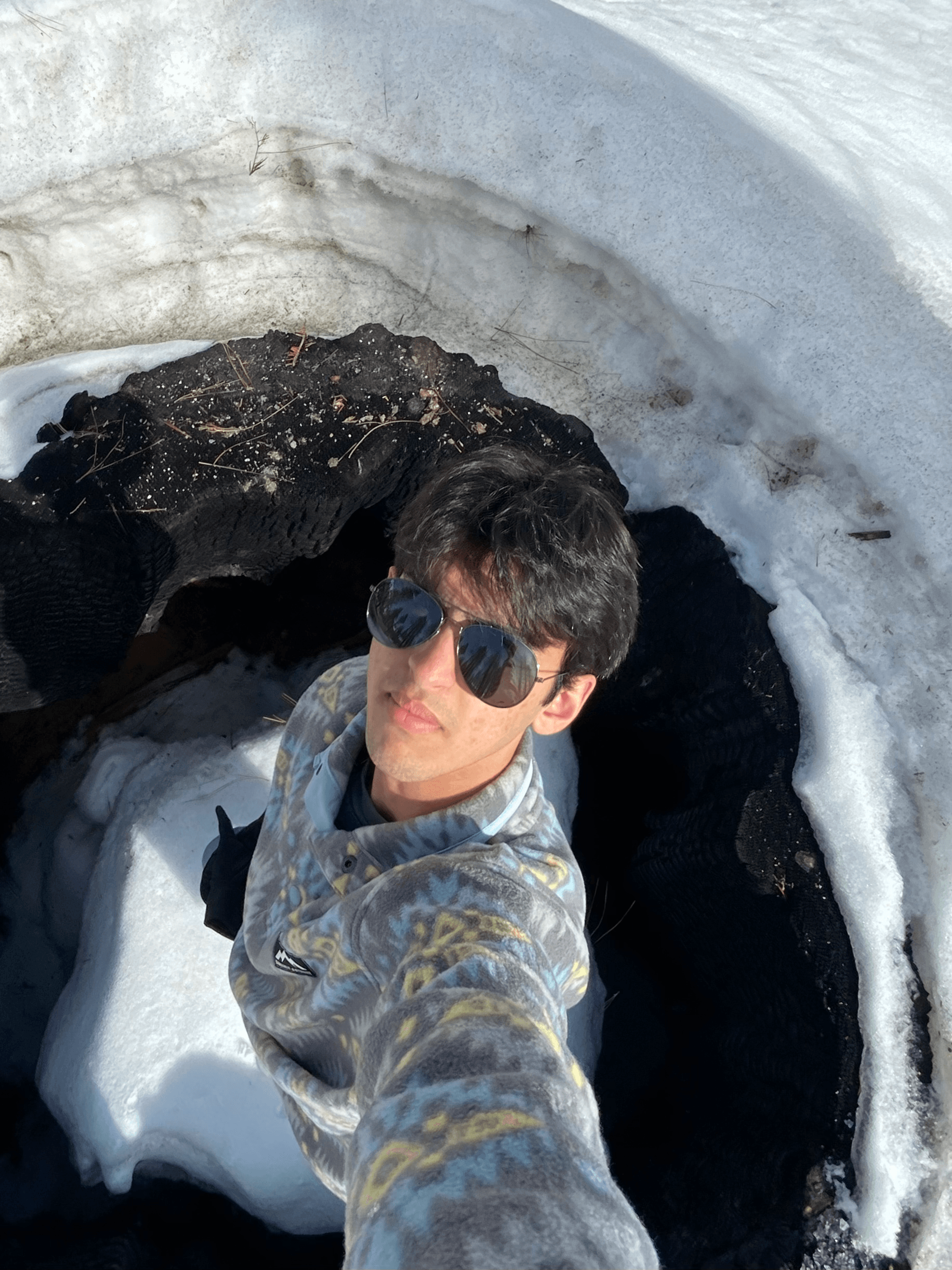 SciLynk Blog | Arnav Chakravarthy